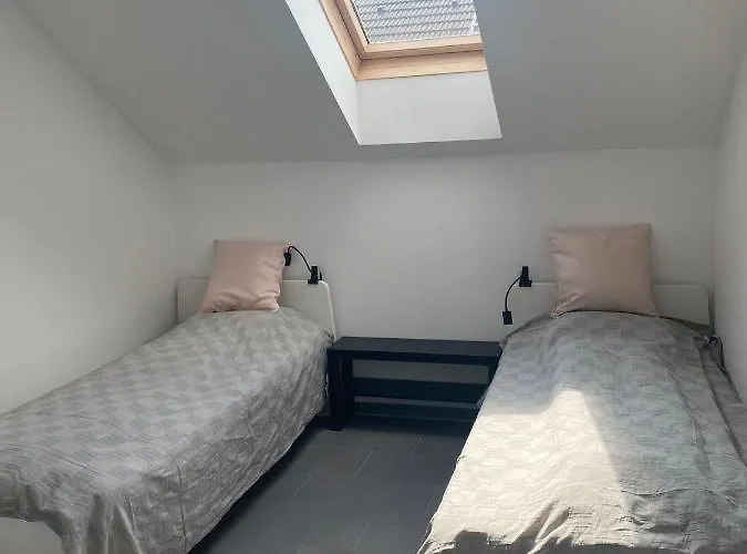 Michlfarm Lounge דירה